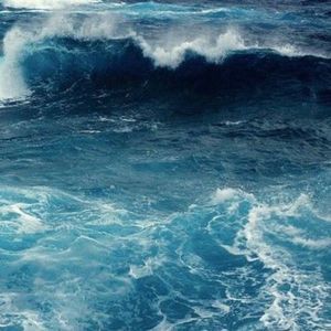 Meet your Posher, Dina